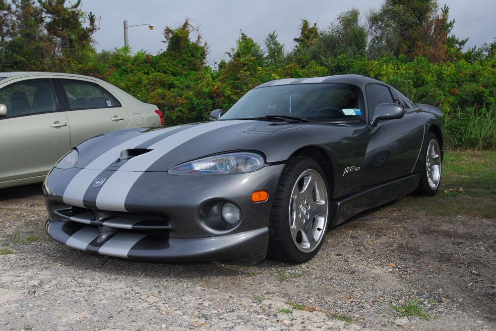 LSM_0876c.jpg